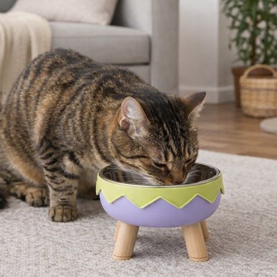 Gamelle chat surélevée 