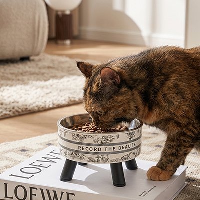 Gamelle Chat surélevée 