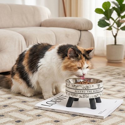 Gamelle Chat surélevée 