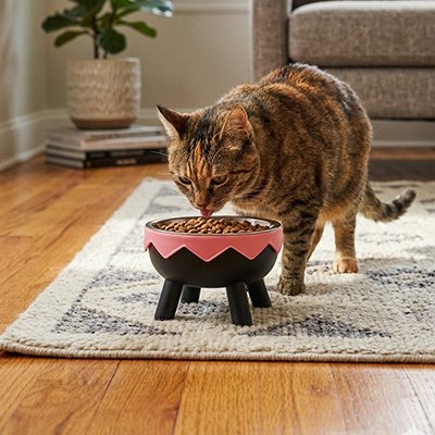 Gamelle chat surélevée 