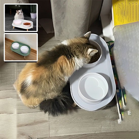 Gamelle chat