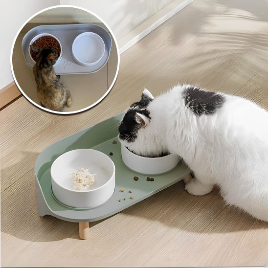 Gamelle chat