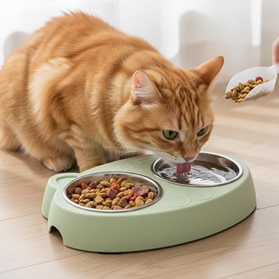 Gamelle Chat | Lumo - Chicetchat