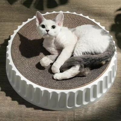 Griffoir chat | Bordure blanche ondulée - Monminouchat