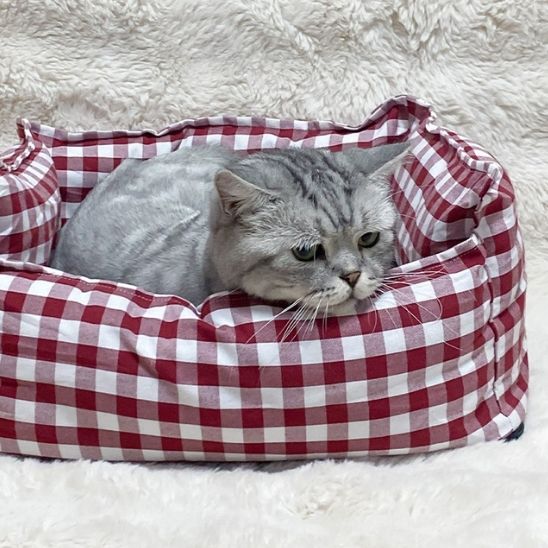 Panier pour chat | PurLove - Chicetchat