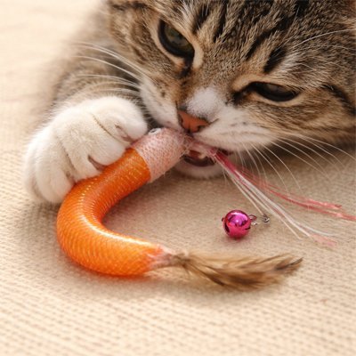Jouet chat interactif | Pinçou - Chicetchat