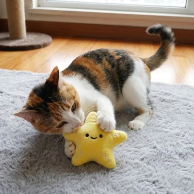 Jouet chat | Étoilefilante - Monminouchat