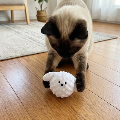 Jouet Chat interactif | Flap - Flap - Monminouchat