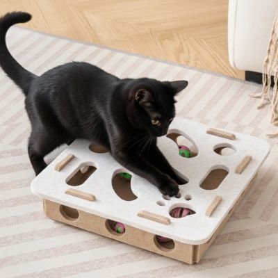 Jouet pour chat