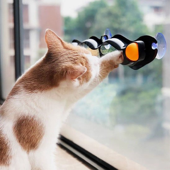 Jouet pour chat