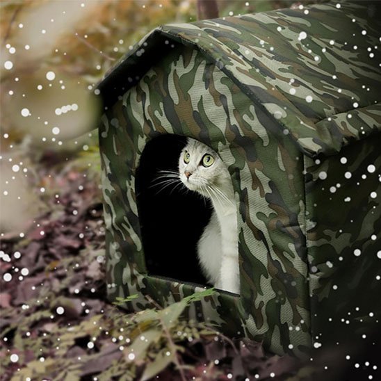 Niche extérieur pour chat | Féliproof - Chicetchat