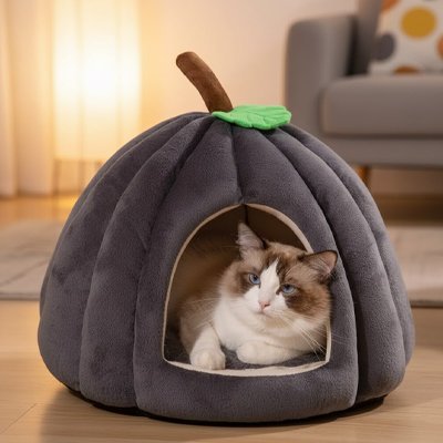 Niche pour chat | Citrou - Chicetchat