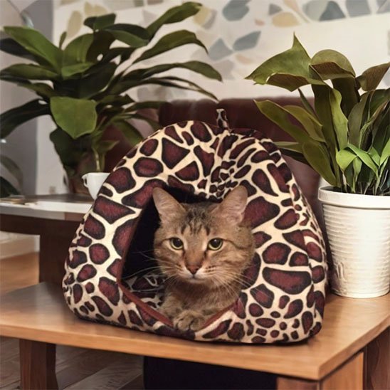 Niche pour chat | Kora - Chicetchat