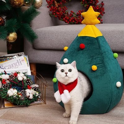 Niche pour Chat | FestiChat - Chicetchat