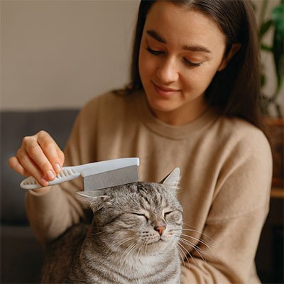 Peigne chat | Petit Ronron - Monminouchat