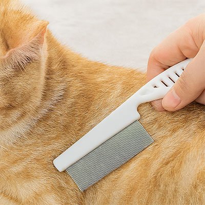 Peigne chat | Petit Ronron - Monminouchat
