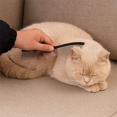 Peigne pour chat | Anti - nœuds Démêleur - Chicetchat