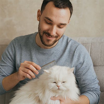 Peigne pour chat | Anti - Poils Minou - Monminouchat