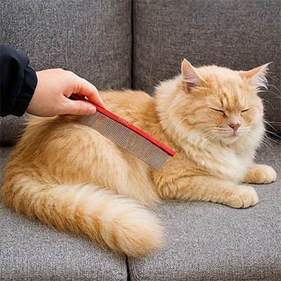 Peigne pour chat | Anti - nœuds Démêleur - Chicetchat