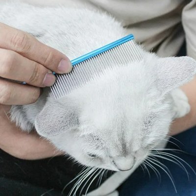 Peigne pour chat | Anti - nœuds DémêlPoils - Chicetchat