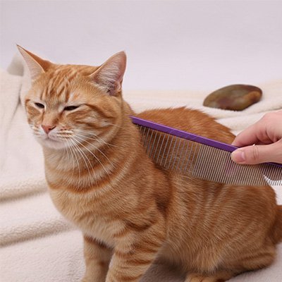 Peigne pour chat | Anti - nœuds mondoux - Monminouchat