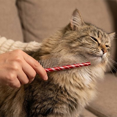 Peigne pour chat | DouceFourrure - Chicetchat
