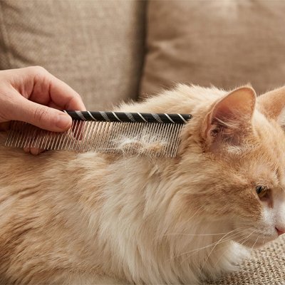Peigne pour chat | DouceFourrure - Chicetchat