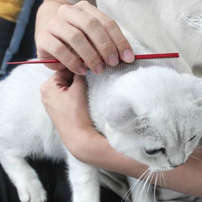 Peigne pour chat | Anti - nœuds DémêlPoils - Chicetchat