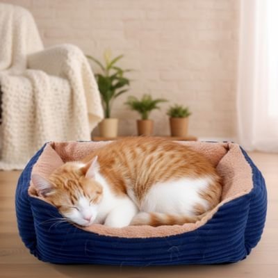 Panier chat | Douillet - Chicetchat