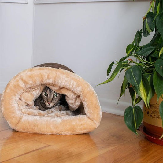 Panier Chat | Douillet - Chicetchat