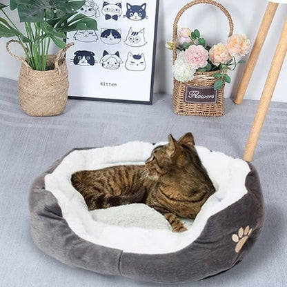 Panier Chat | Douillet - Chicetchat