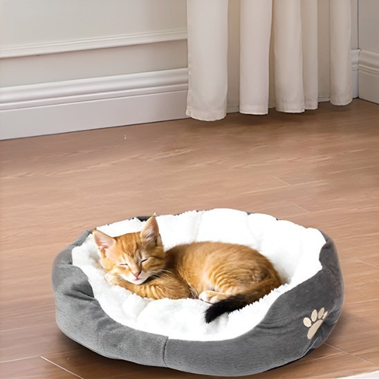 Panier Chat | Douillet - Chicetchat