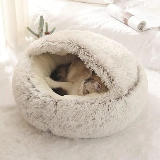 Panier pour chat | Élégance Confort - Chicetchat