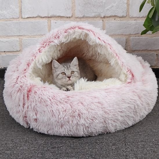 Panier pour chat | Élégance Confort - Chicetchat