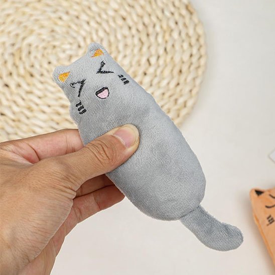 chat interactif | ChasseFéline - Chicetchat