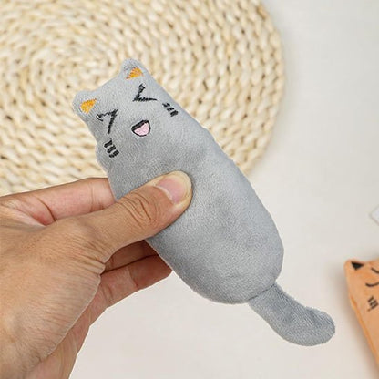 chat interactif | ChasseFéline - Chicetchat