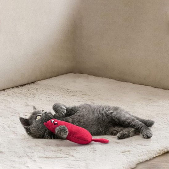 chat interactif | ChasseFéline - Chicetchat