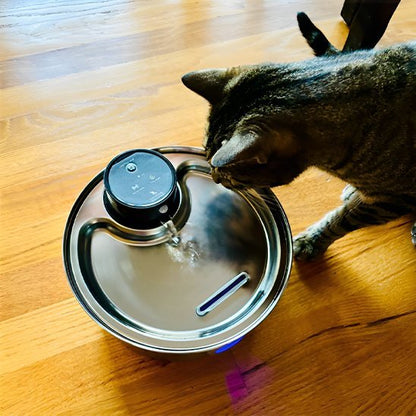FONTAINE A EAU CHAT | SteelFresh - Ma boutique