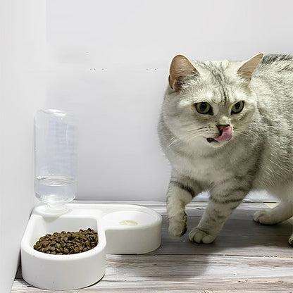 Gamelle chat | Chatiko - Chicetchat