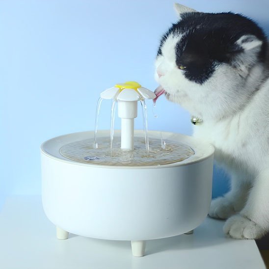 Fontaine à eau chat | HydraVital - Chicetchat