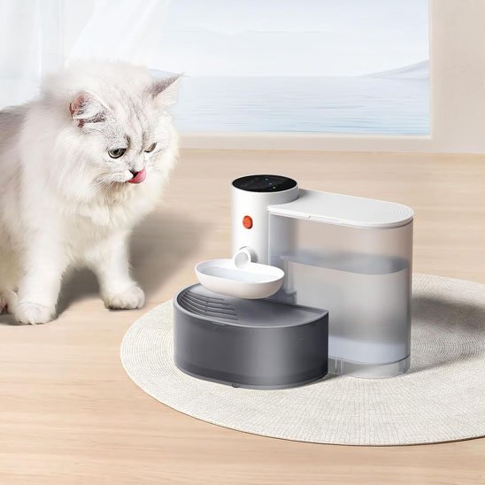 FONTAINE A EAU CHAT | SilencioFlow - Chicetchat