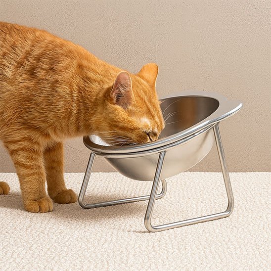 Gamelle pour chat | ÉcoFélin - Chicetchat