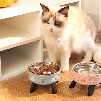 Gamelle chat surélevée | Katera - Chicetchat
