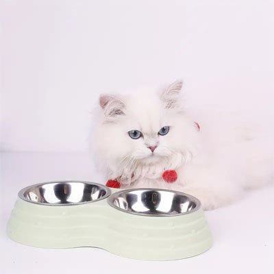 Gamelle chat | Double Délice - Chicetchat