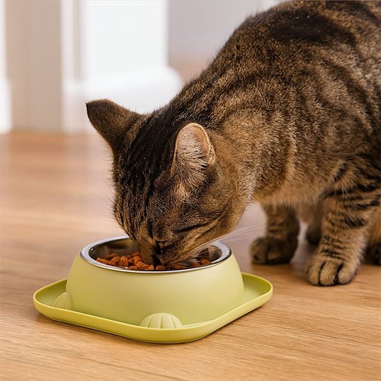 Gamelle chat | Perchoir Gourmand - Chicetchat