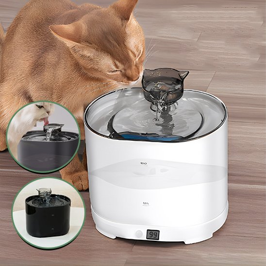 Fontaine à eau chat | Cascade Premium - Chicetchat