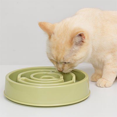 Gamelle anti glouton chat | SlowFeast - Chicetchat