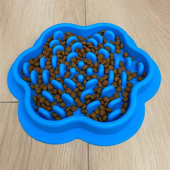 gamelle anti glouton Chat | FeliFast - Chicetchat