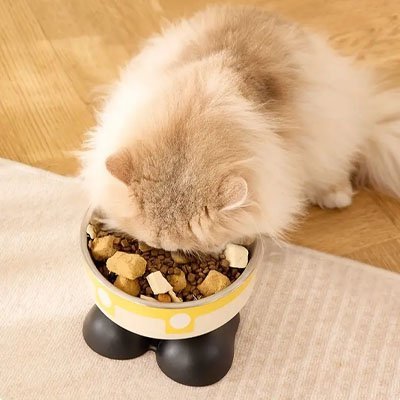 Gamelle chat surélevée | MuseauHaut - Chicetchat