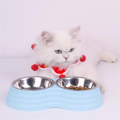 Gamelle chat | Double Délice - Chicetchat